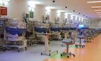 ضریب اشغال تخت بخش NICU بیمارستان بنت الهدی 80 درصد است